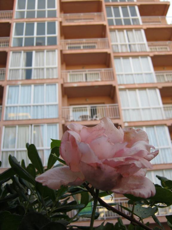 Apartamento El Velero *